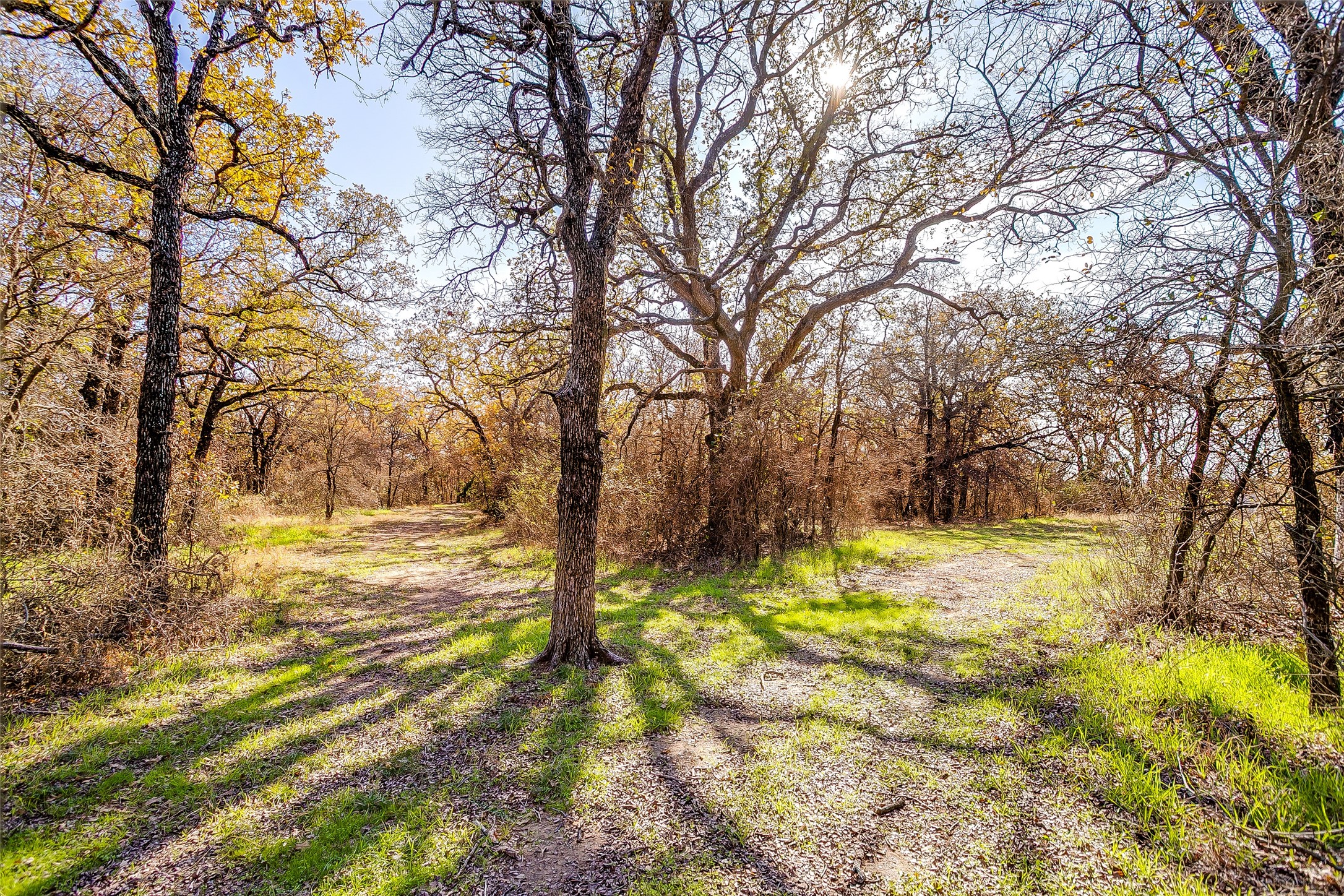 1210 Poe Prairie Road