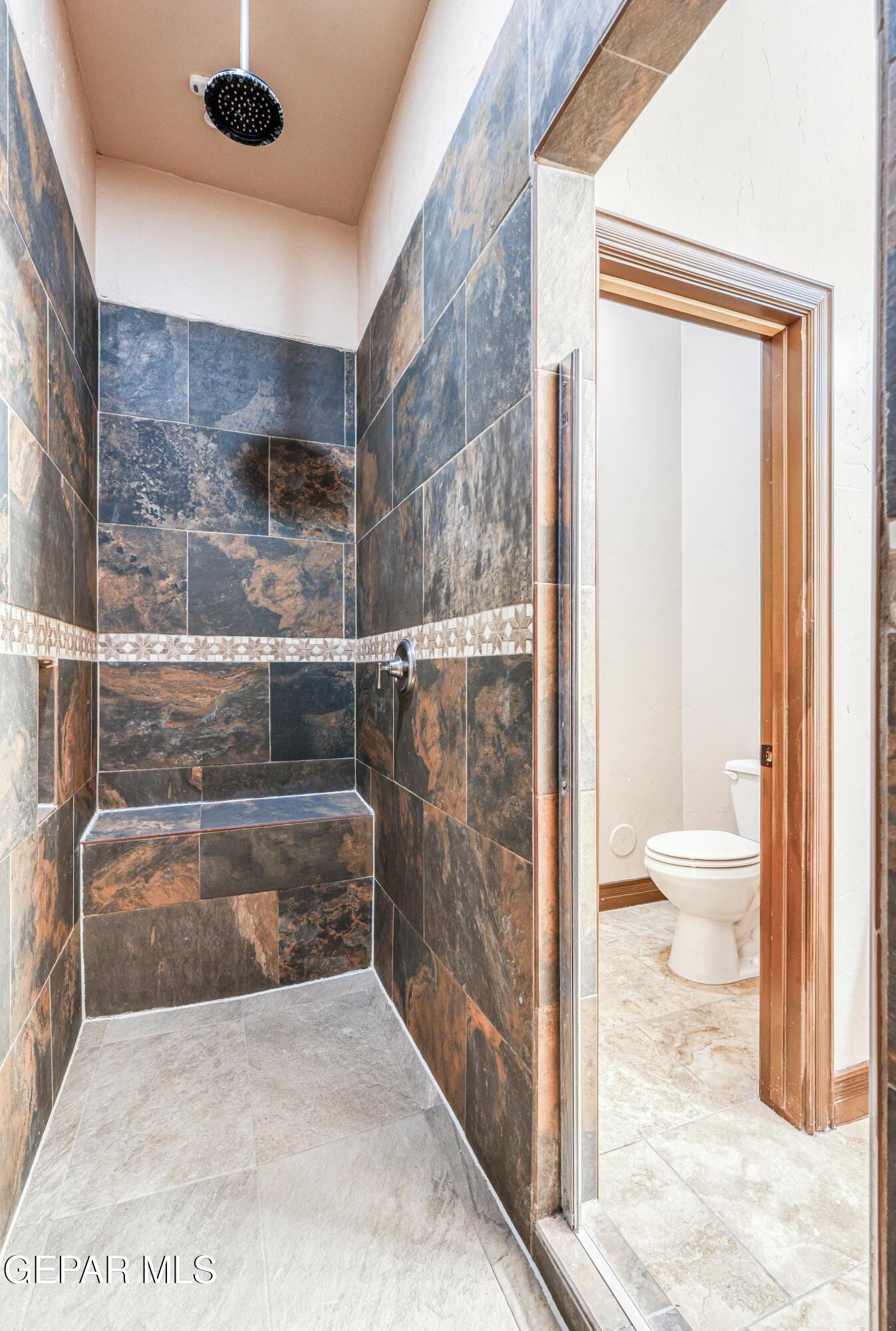 Walk-in shower with dark stone-look tile, a rainfall showerhead, and an adjoining toilet.