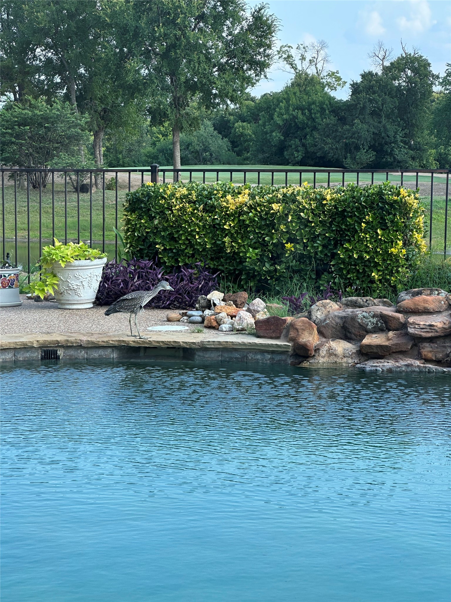 2304 Watercrest Drive