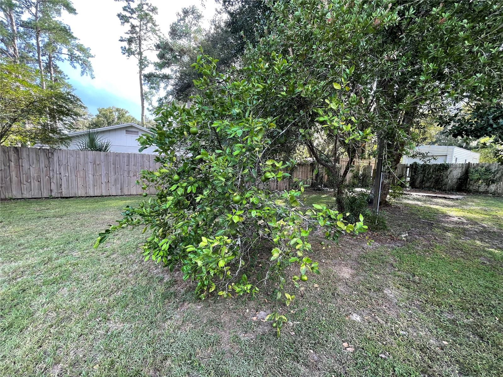 3925 NW 48TH PL