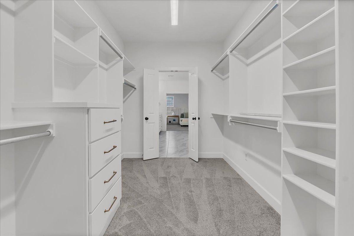 Walk-in closet with white built-in shelves, hanging rods, brass-pull drawers, and gray carpet.