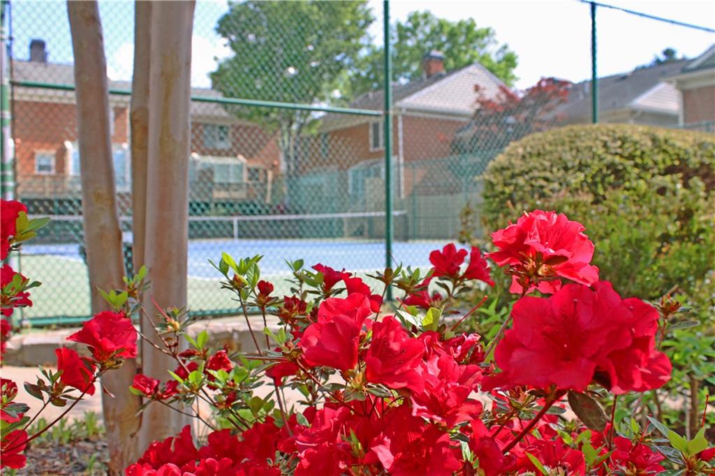 42 Mount Vernon Circle