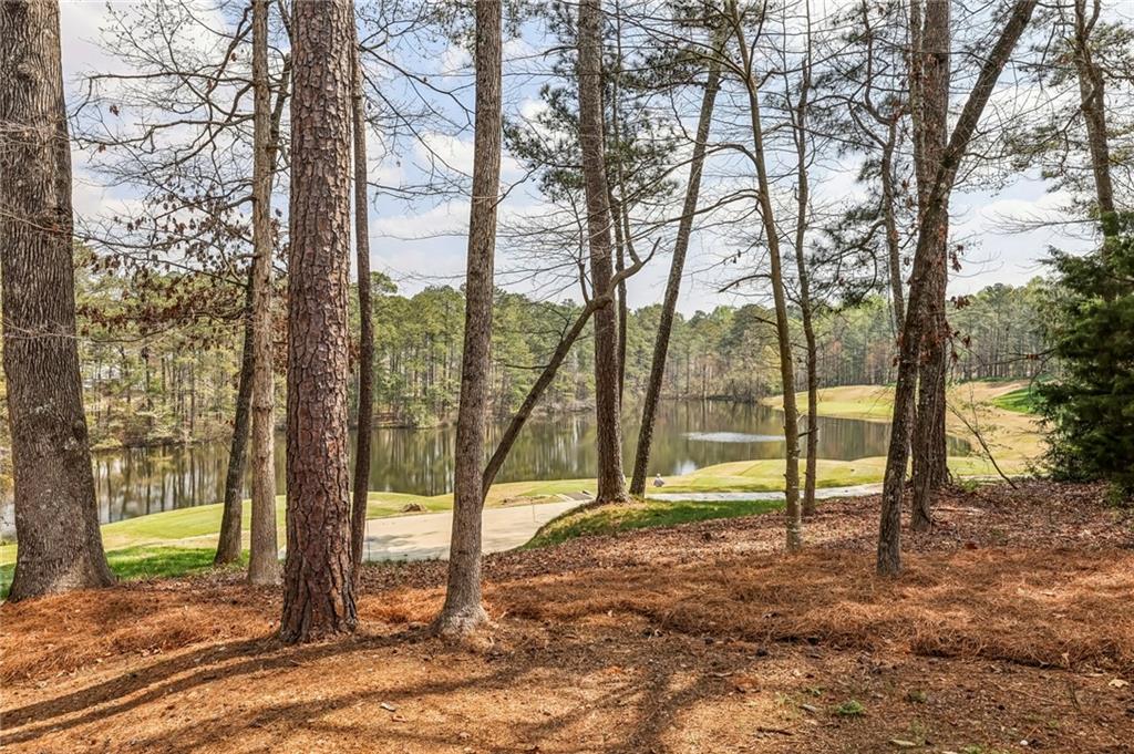 1165 Beacon Hill Crossing