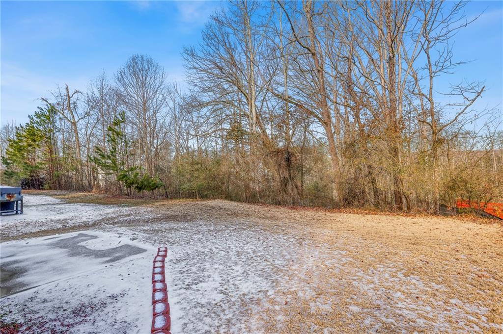 Snow-dusted backyard and paved area bordered by bare trees and evergreens.