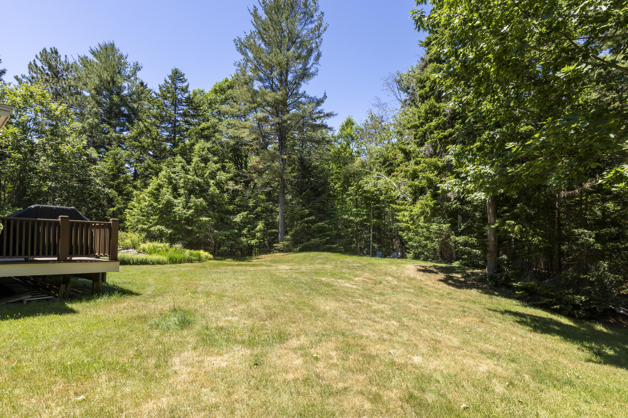 14 Steeplebush Road