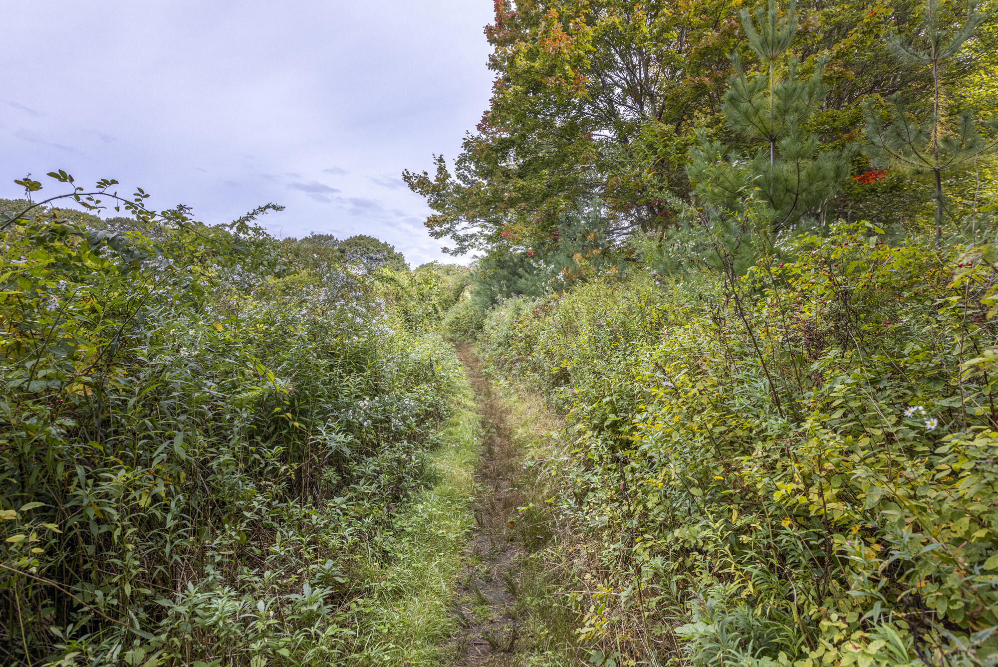 83 Hunts Point Road