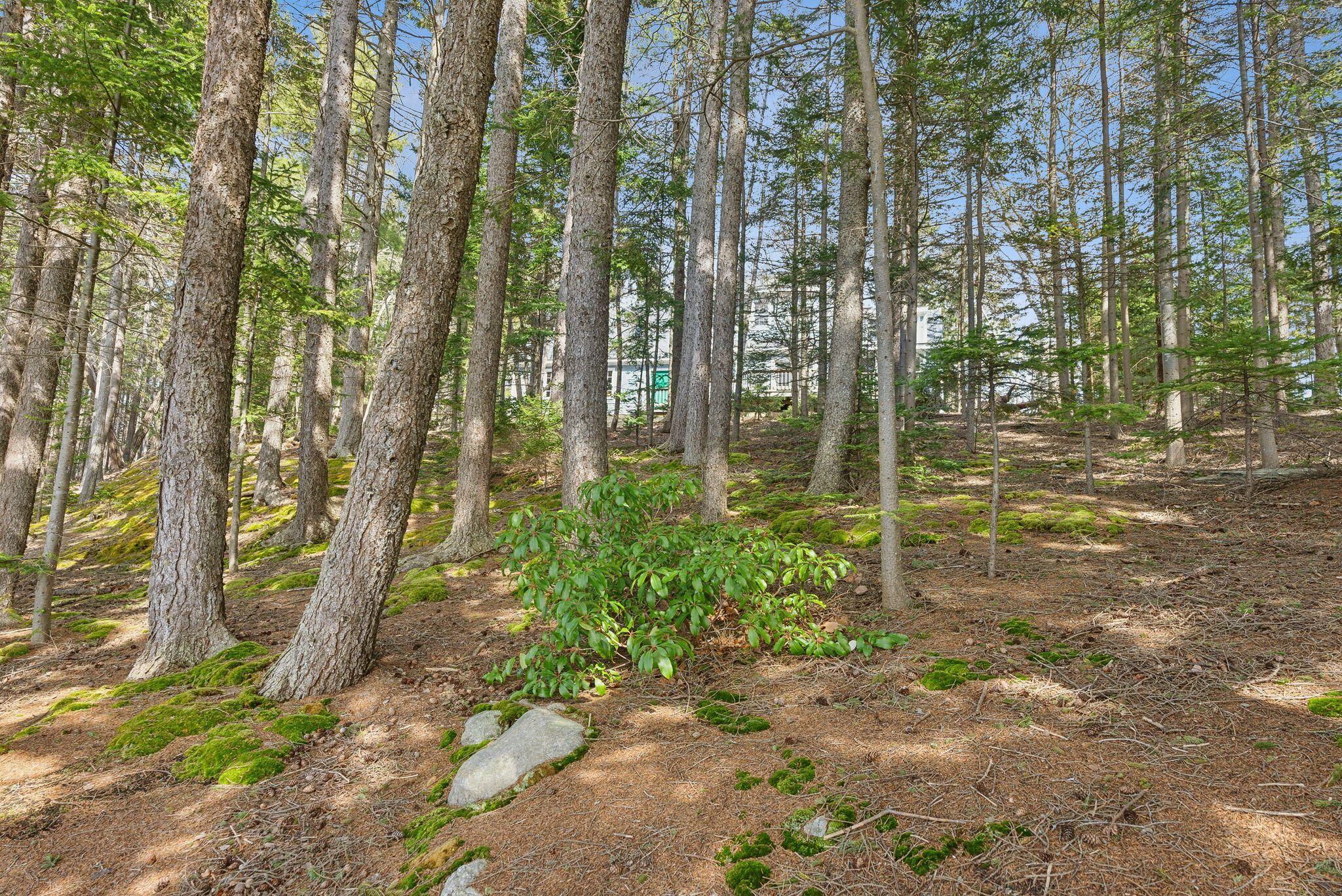 56 Headland Road