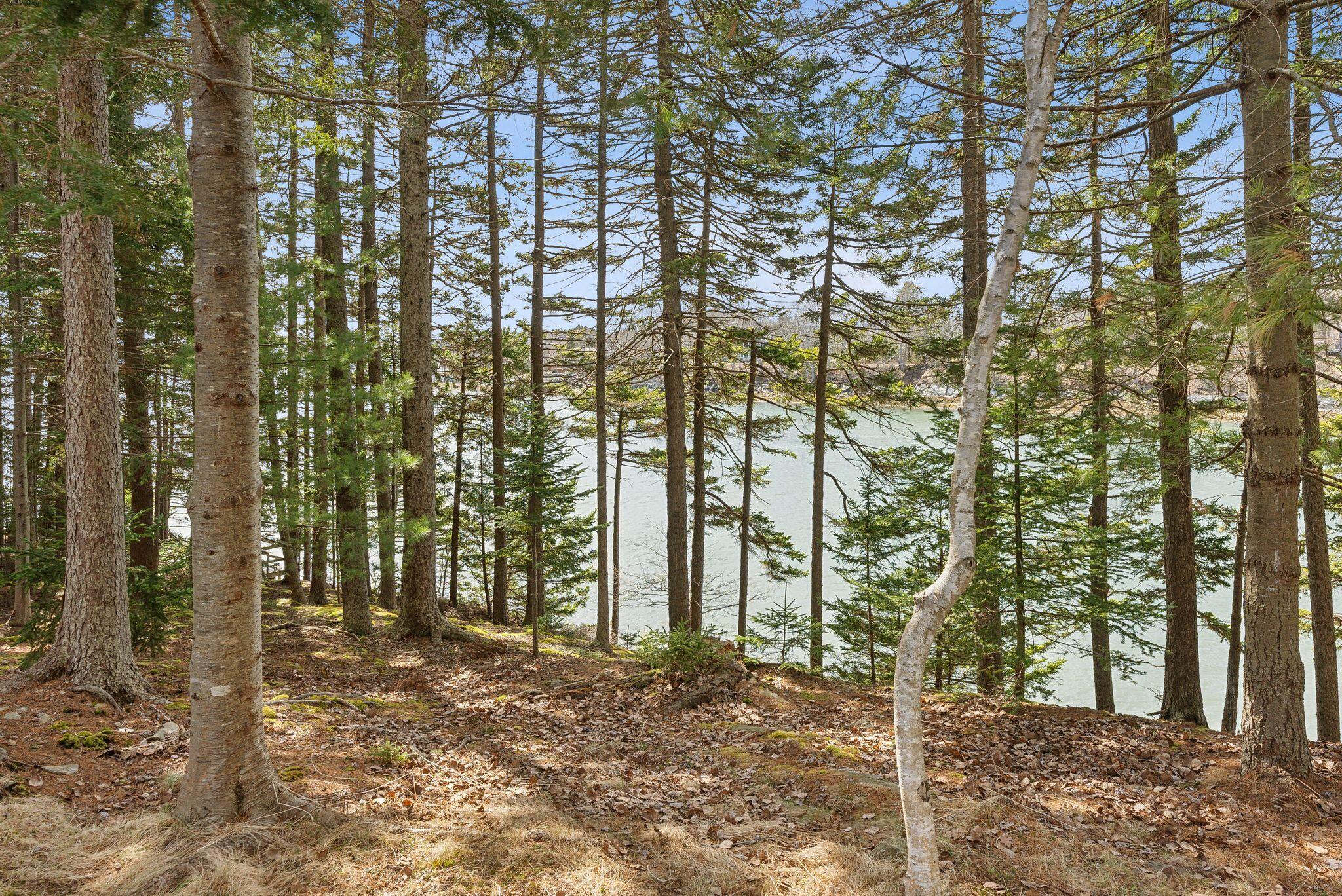 56 Headland Road