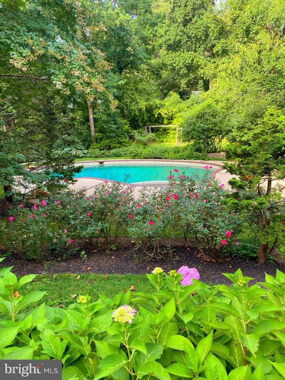 1130 Springmont Cir