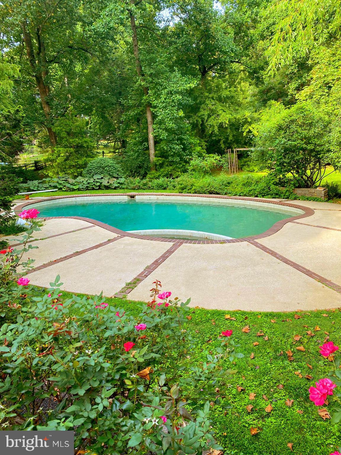 1130 Springmont Cir