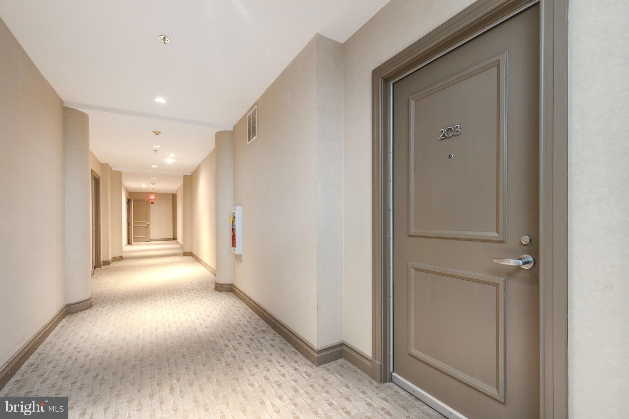 121-35 Walnut St #203
