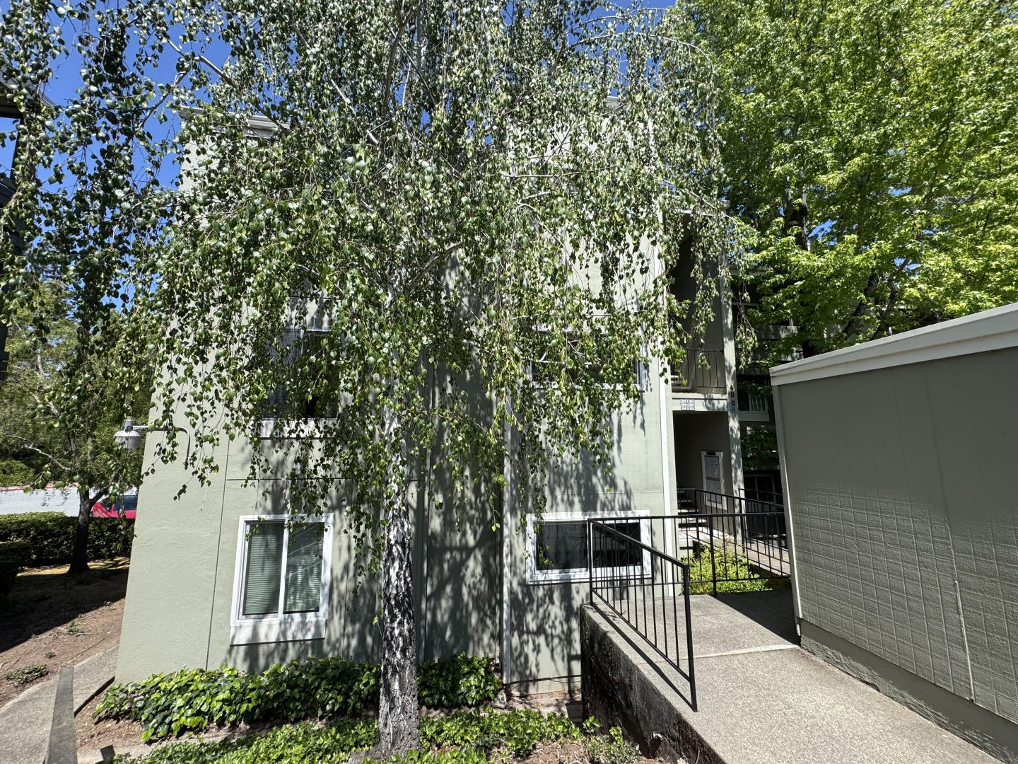 4008 Farm Hill BLVD 204