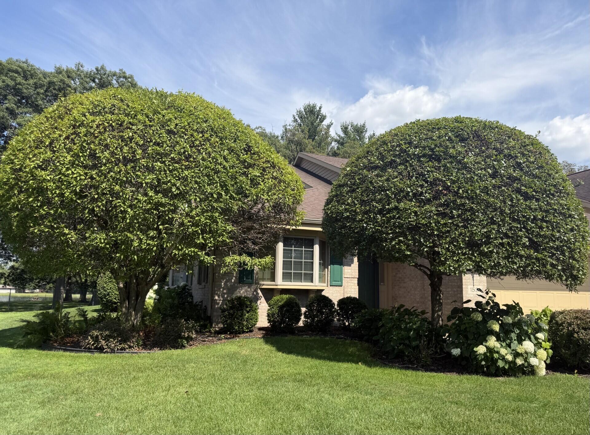 1521 Tamarack Drive