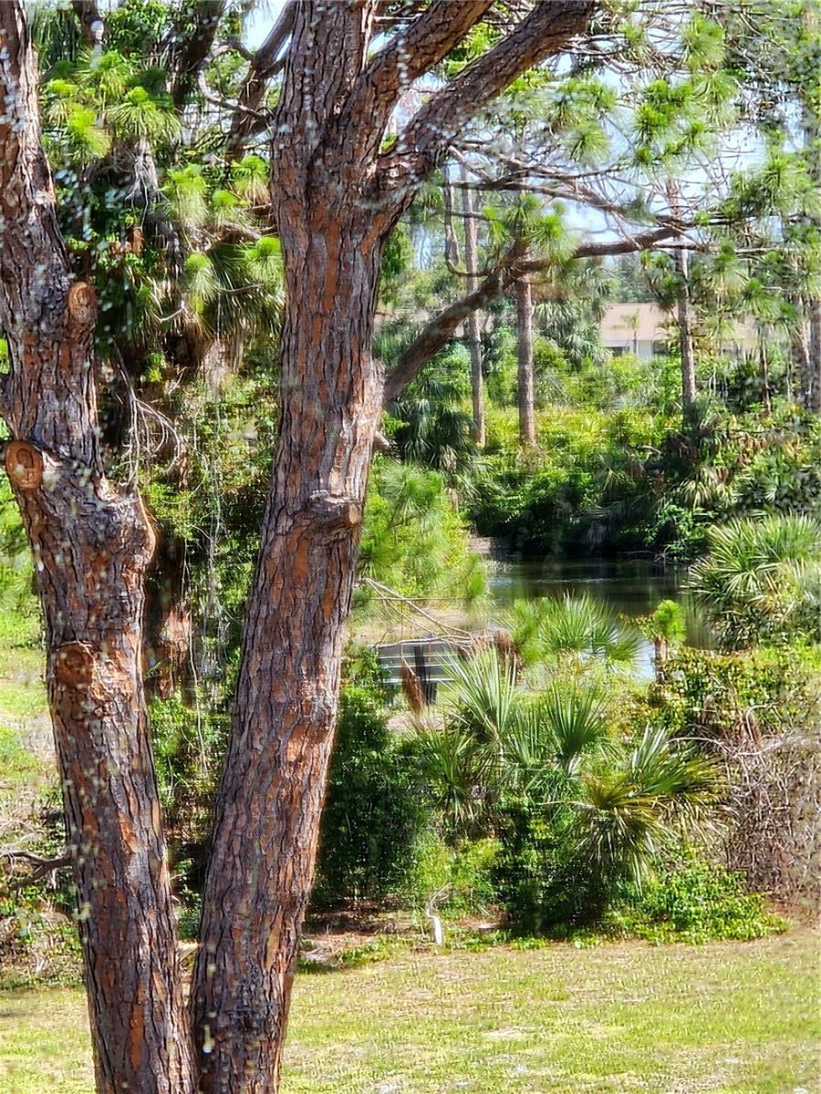 6800 PLACIDA RD #2006