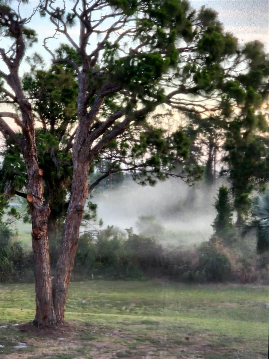 6800 PLACIDA RD #2006