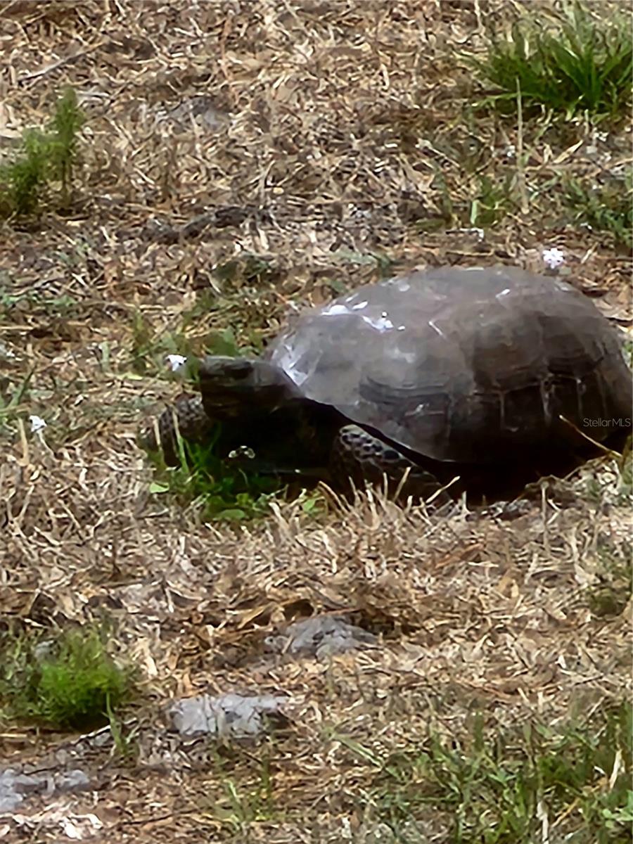 6800 PLACIDA RD #2006