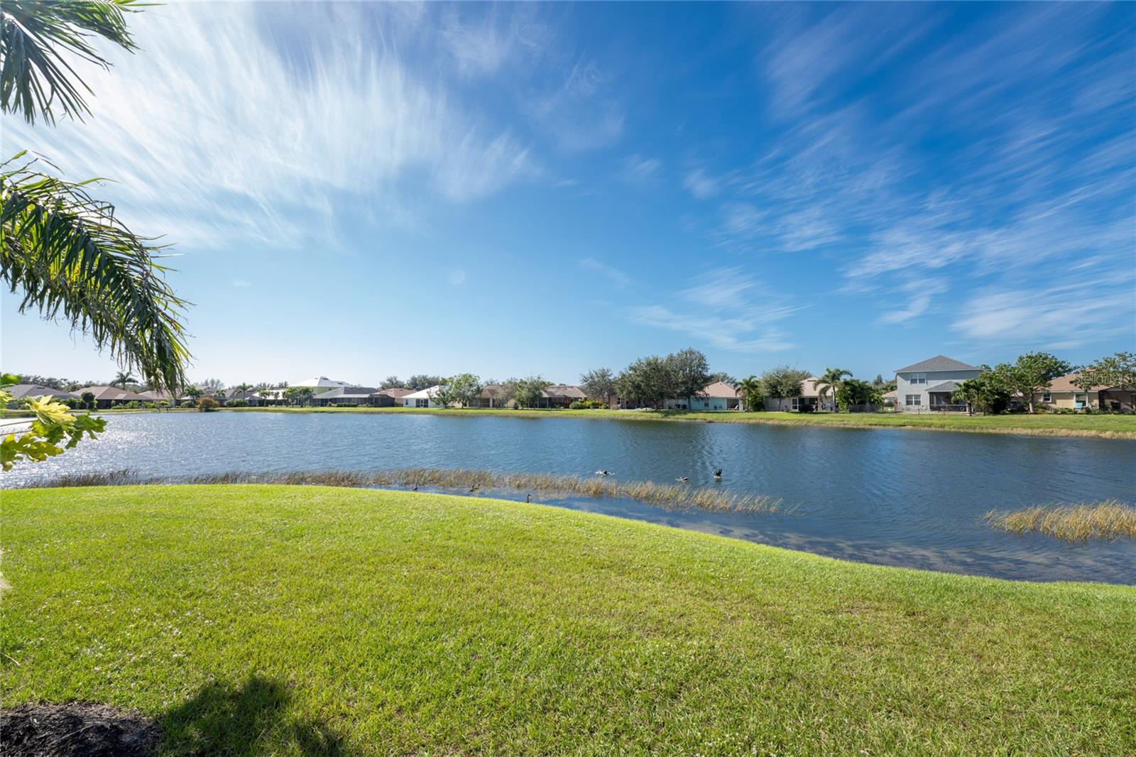 27069 BROOK FOREST RD