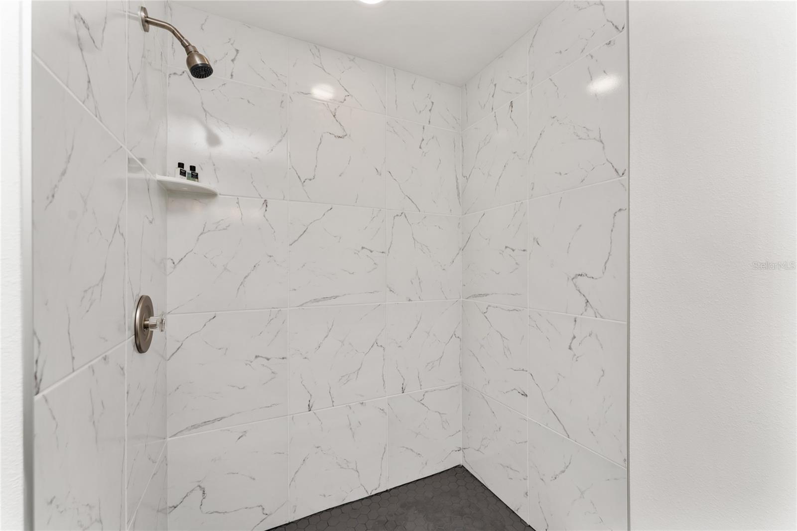 3224 WHITE IBIS CT #B2-1