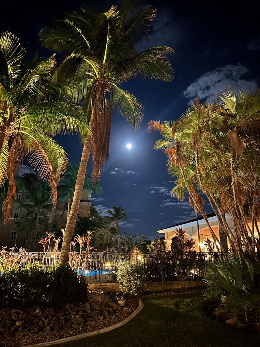 Palm-lined residential pool courtyard at night beneath a bright moon.