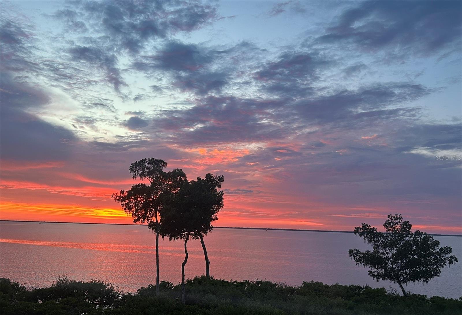 Sunset over calm water, framed by silhouetted trees along the shoreline.