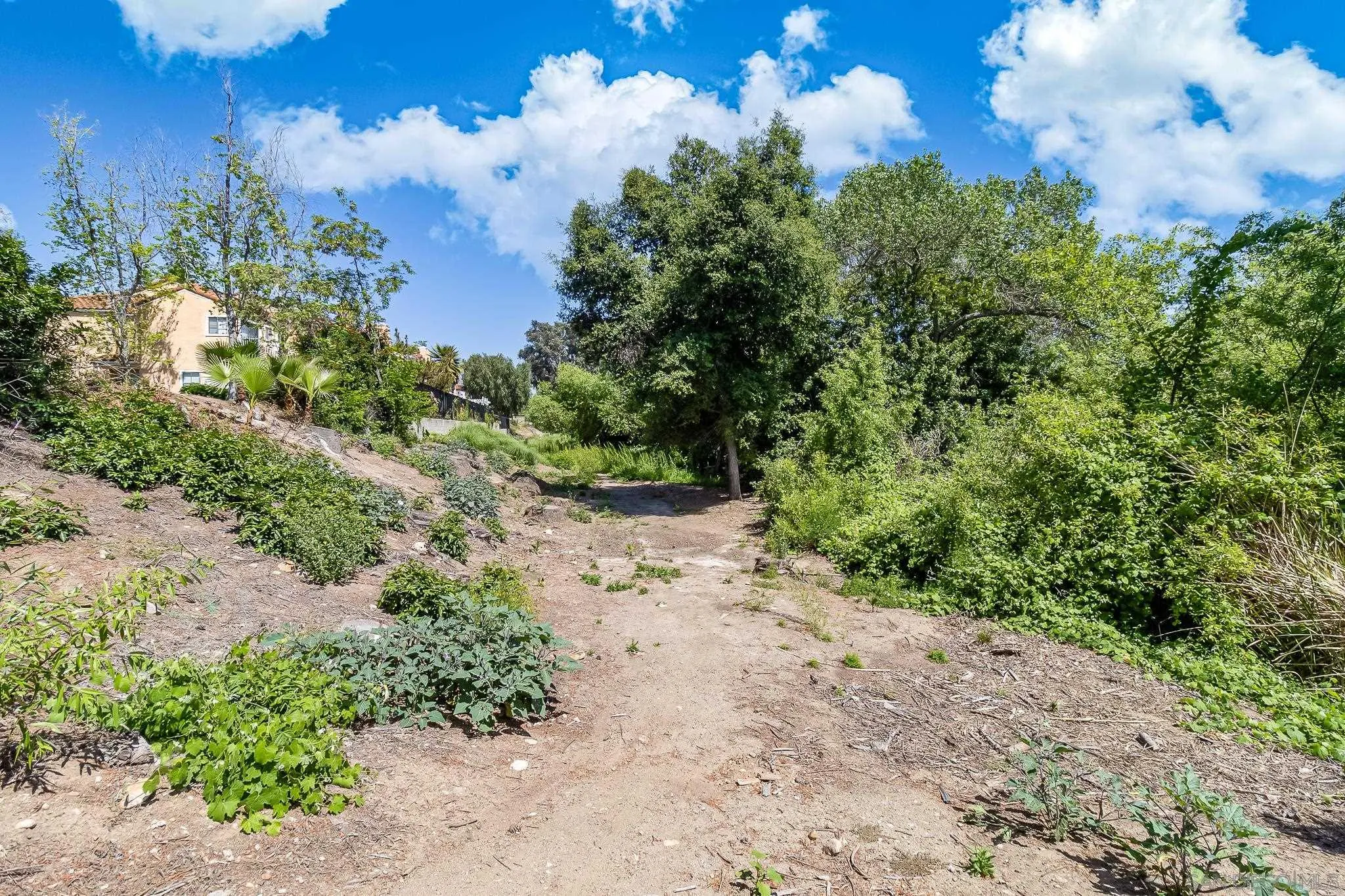 9061 Calle Del Verde