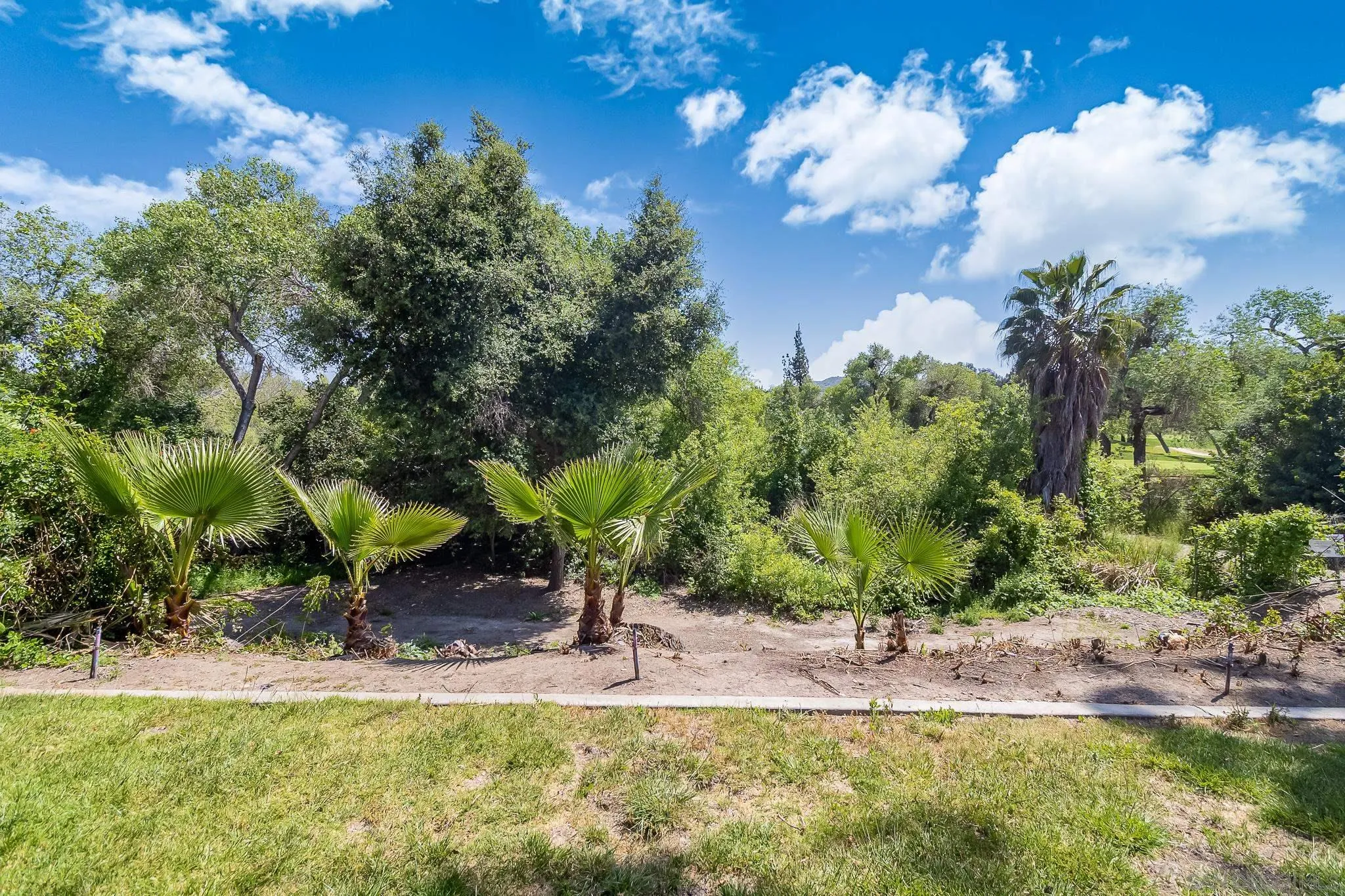 9061 Calle Del Verde