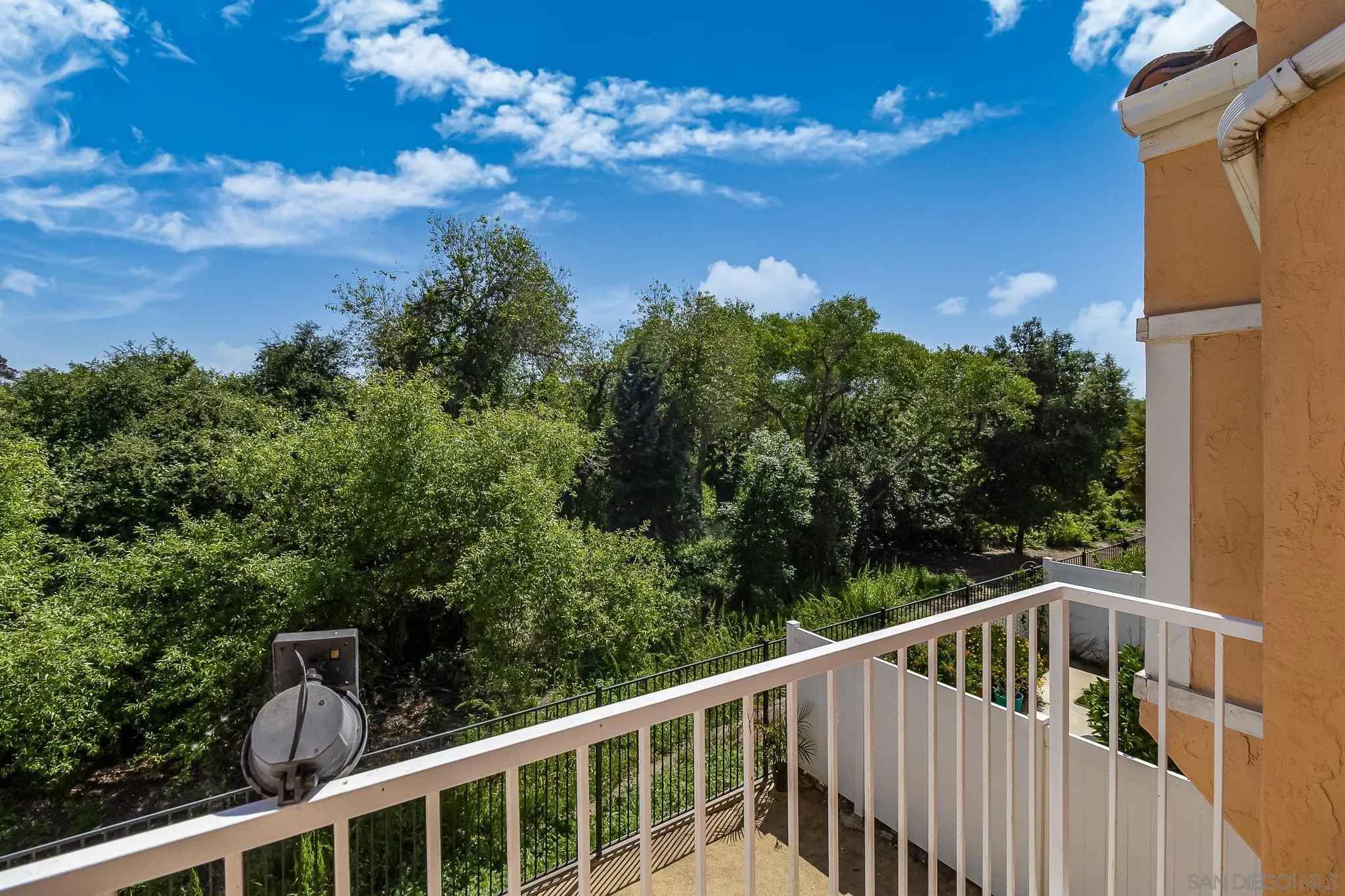 9061 Calle Del Verde