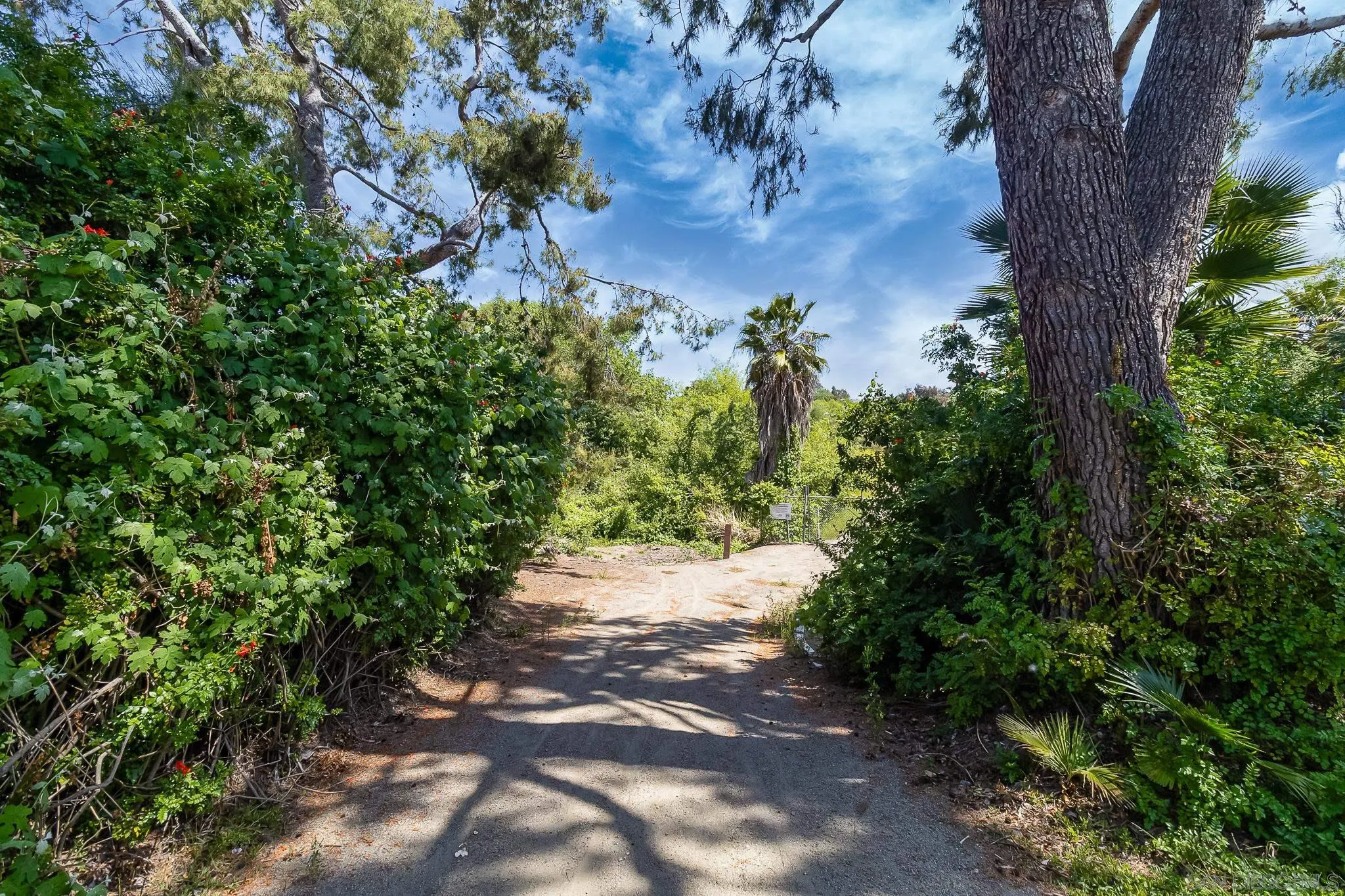 9061 Calle Del Verde