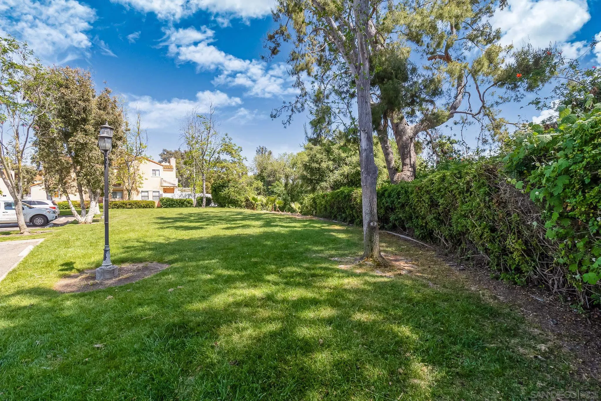 9061 Calle Del Verde