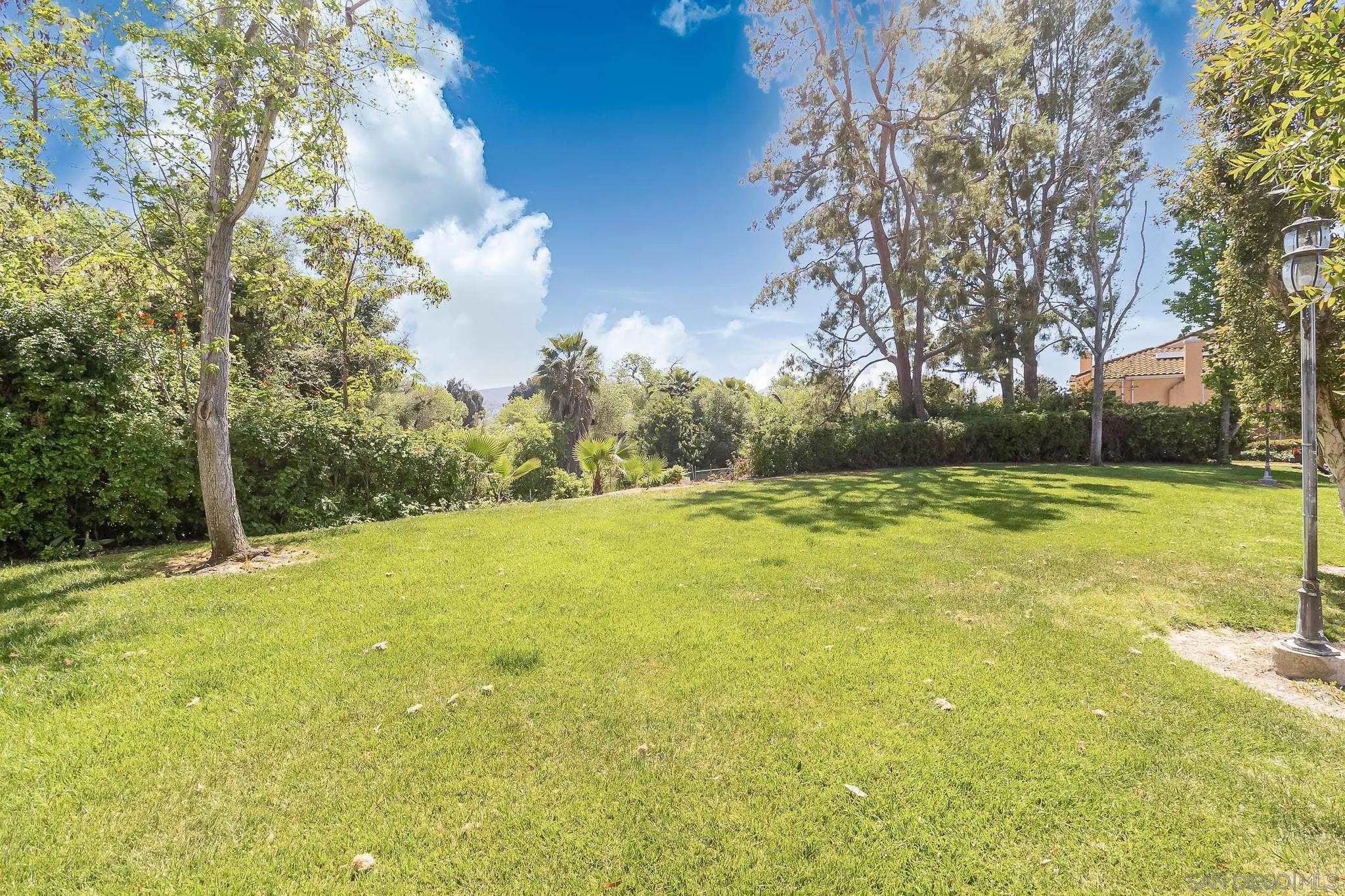 9061 Calle Del Verde