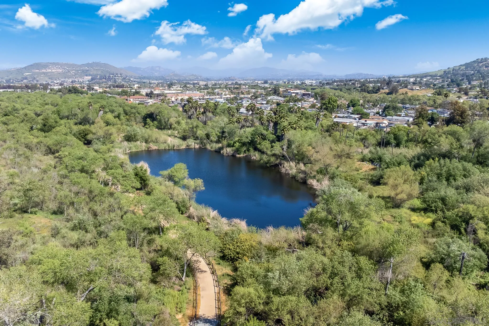 9061 Calle Del Verde