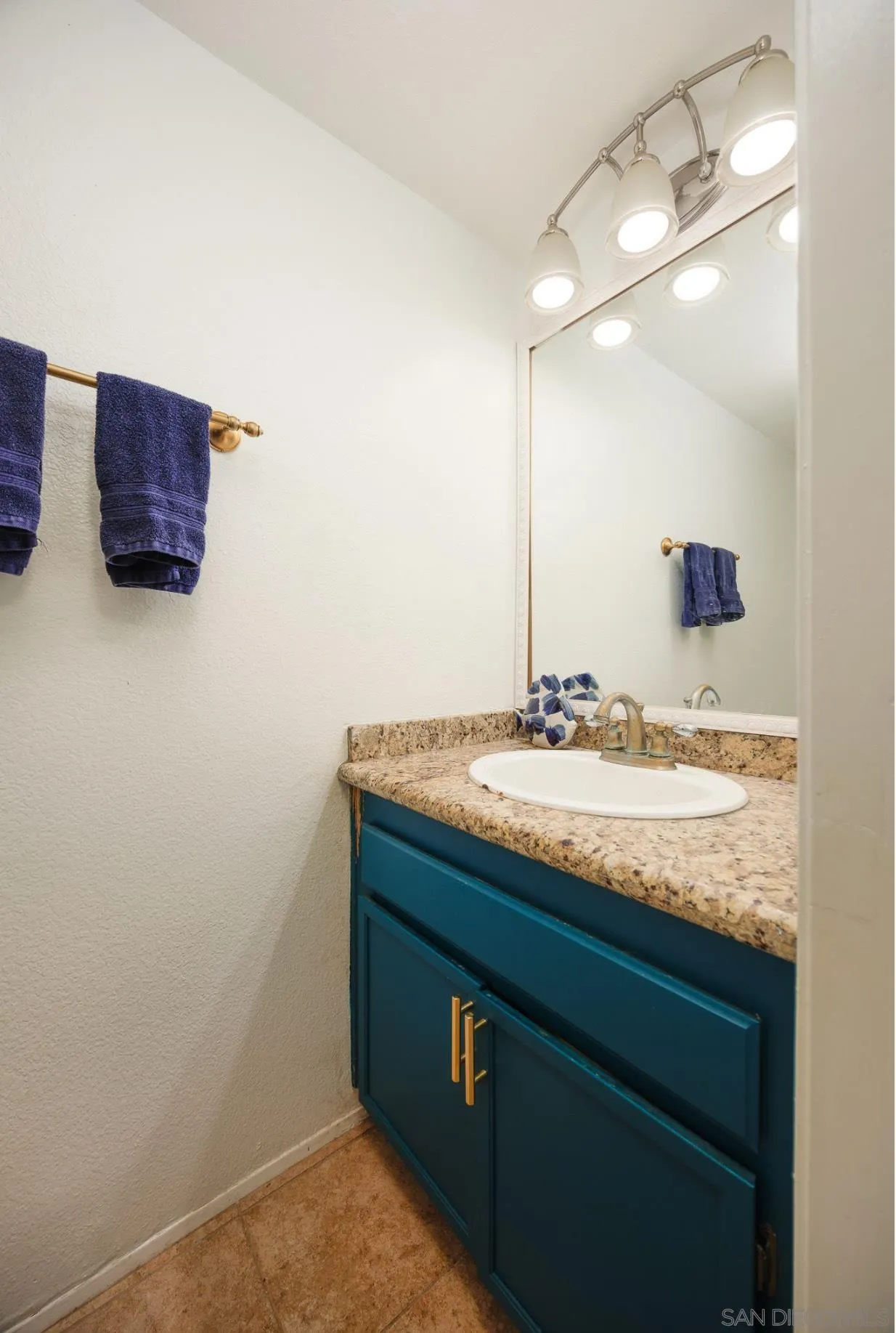 9250 Camino Del Verde