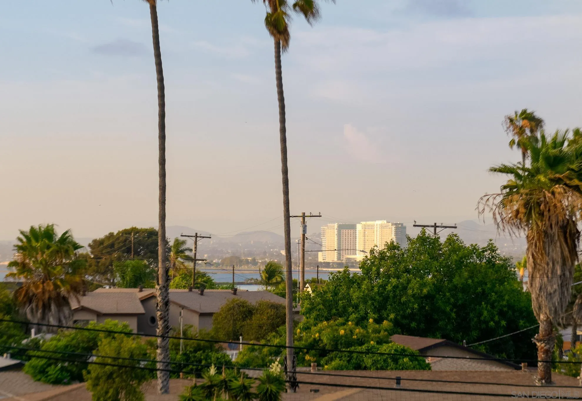 Neighborhood rooftops and palms frame a distant water view and high-rise buildings in warm evening light.