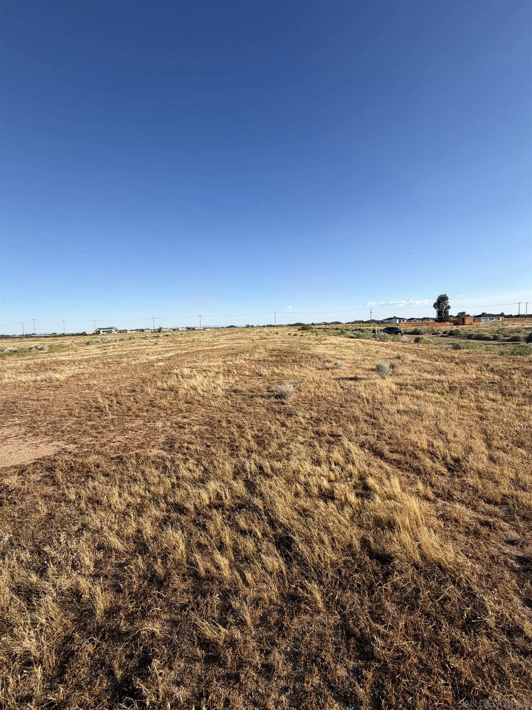 Vacant dry-grass lot with distant homes, utility poles, and a lone tree beneath a clear sky.