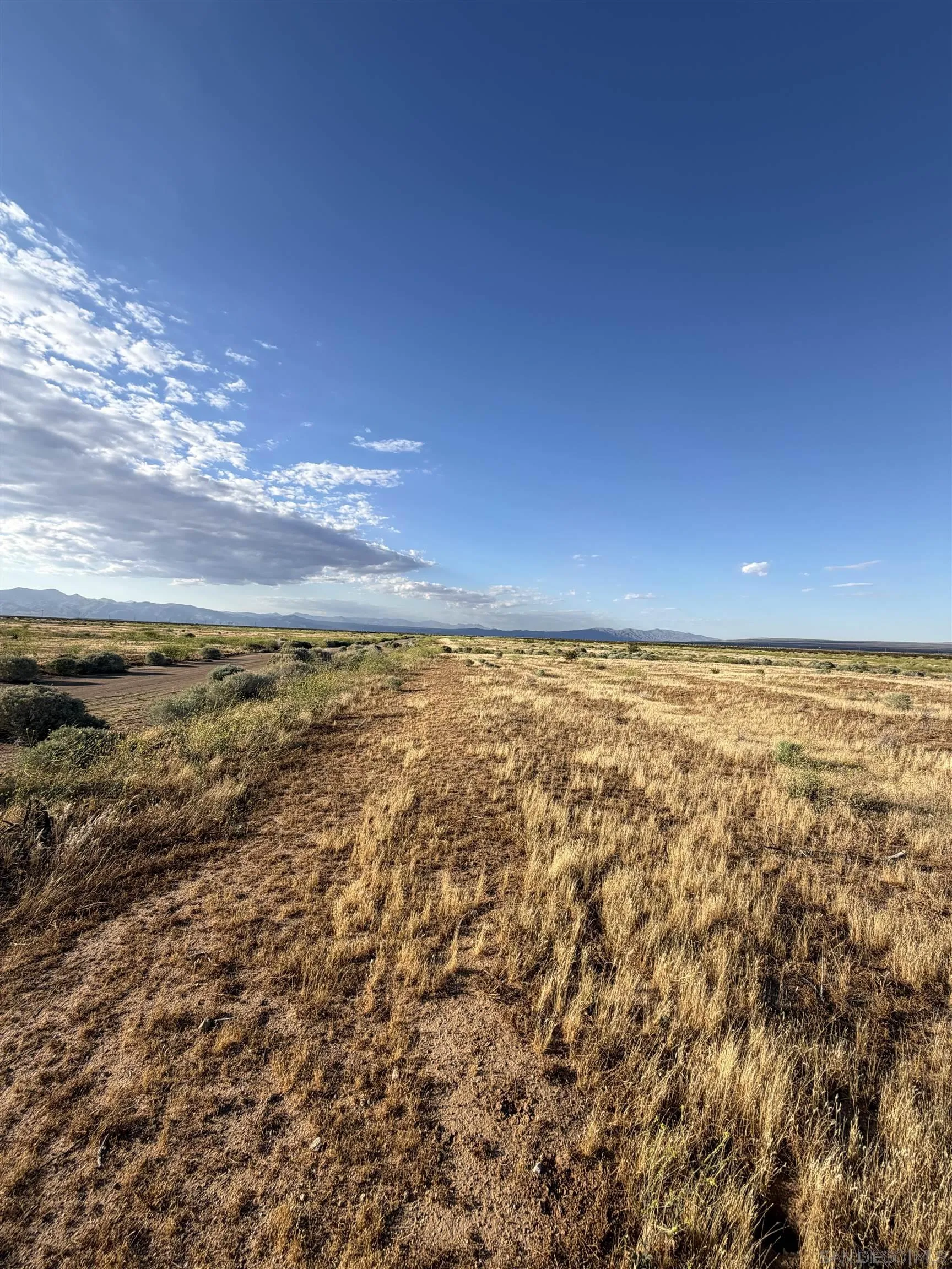 Vacant grassy parcel with a dirt track and distant mountains under a wide blue sky.