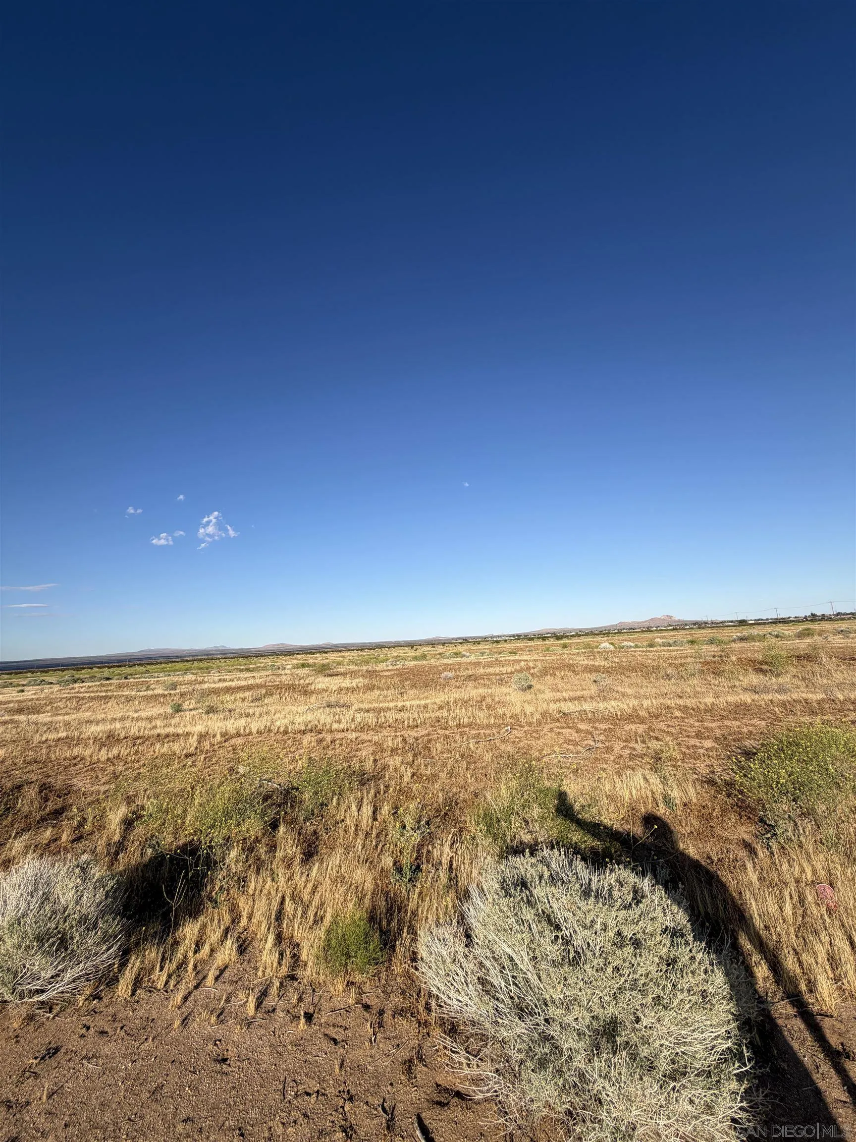 Vacant scrubland with dry grasses, low shrubs, distant hills, and a clear blue sky.