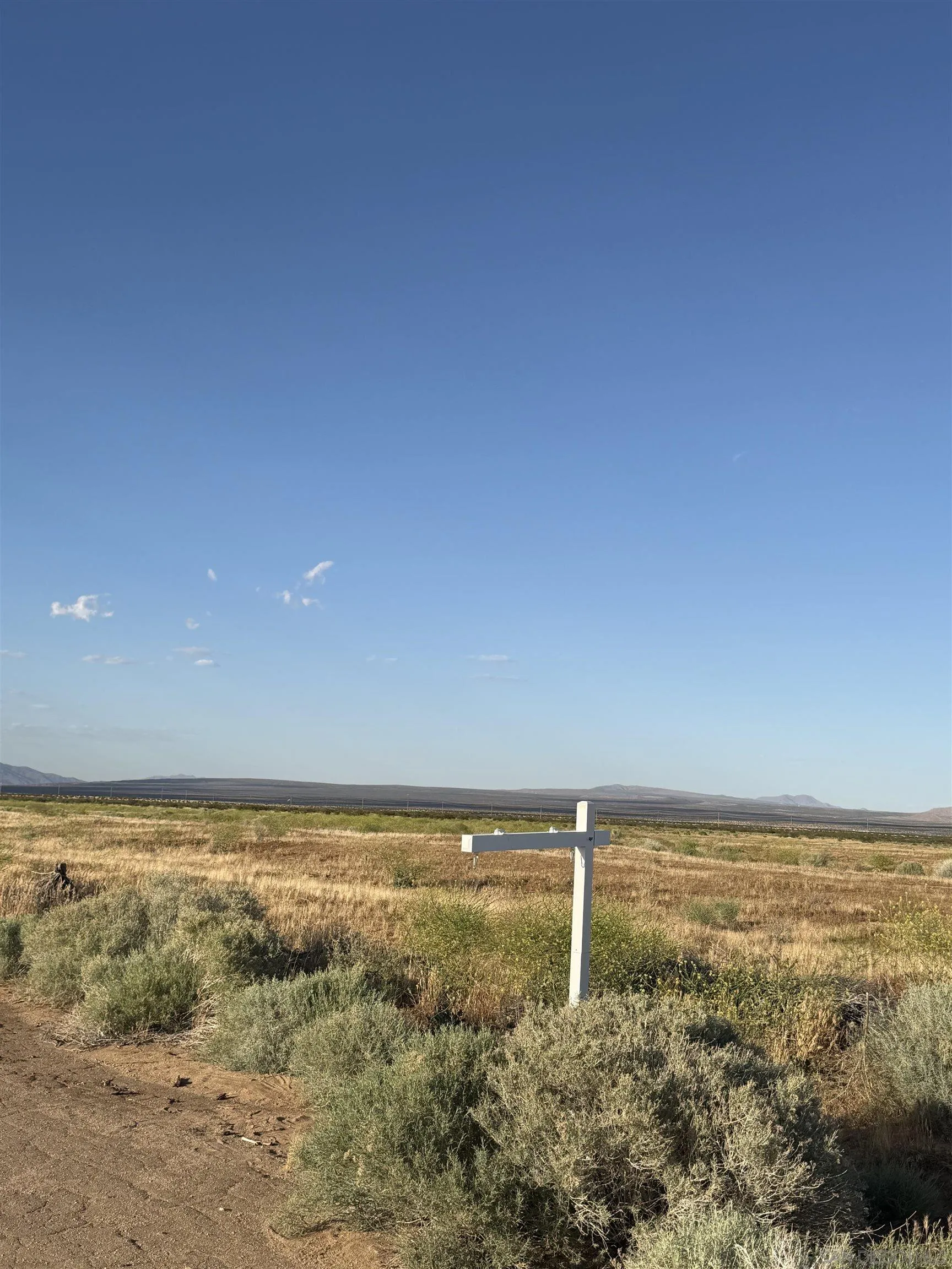 White real estate sign in a dry, scrub-covered vacant lot with distant mountains.