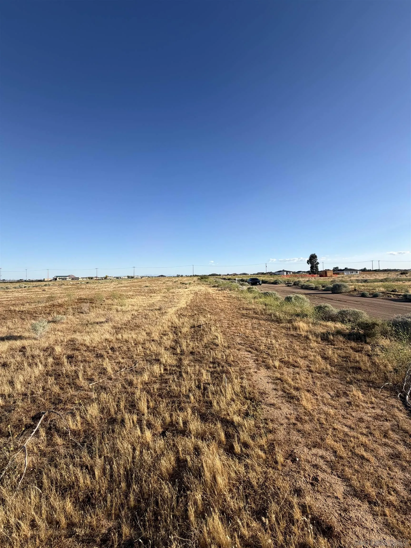Vacant dry-grass lot beside a dirt road, with sparse shrubs and distant homes.