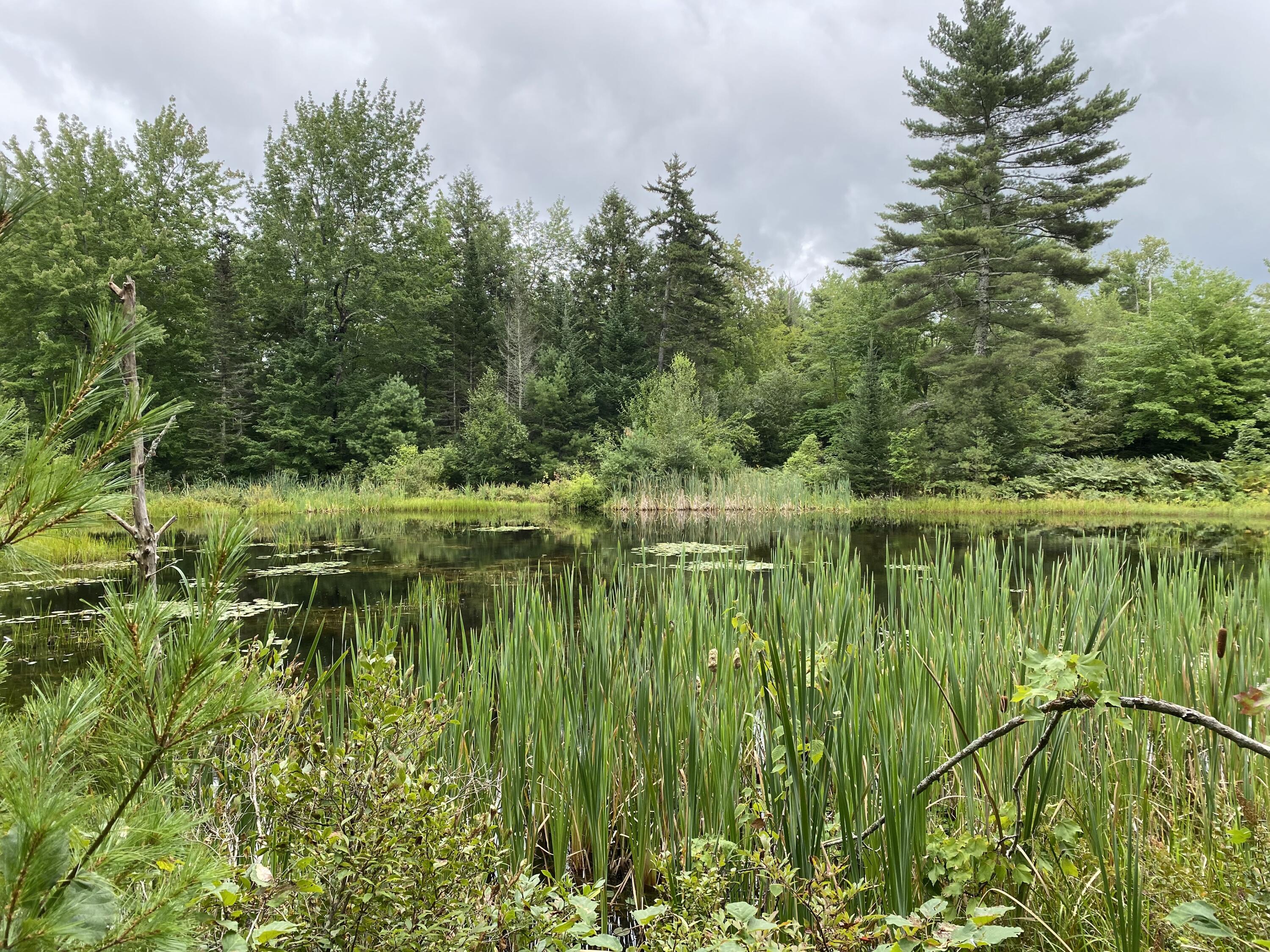 0 Crystal Lake Road