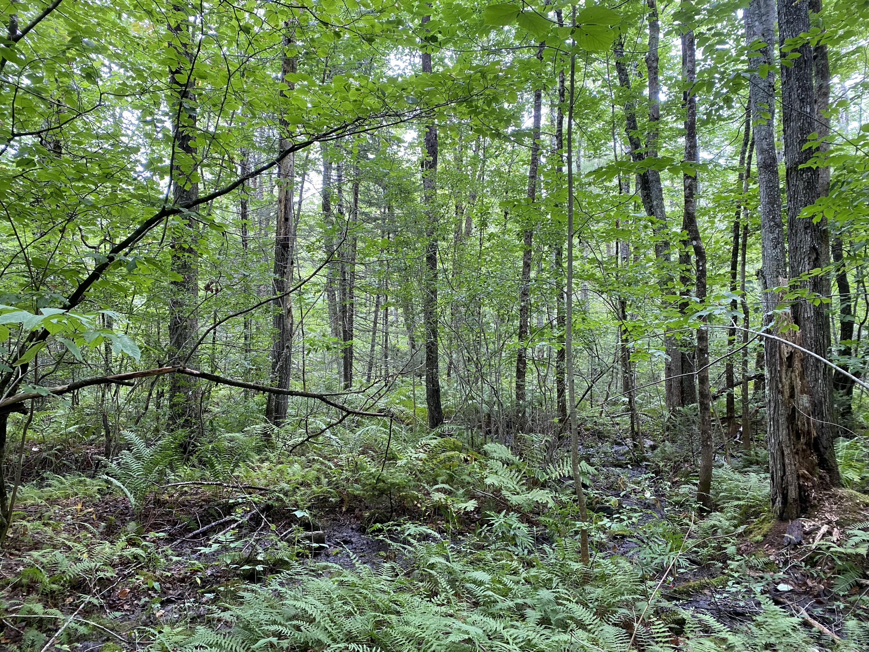 0 Crystal Lake Road