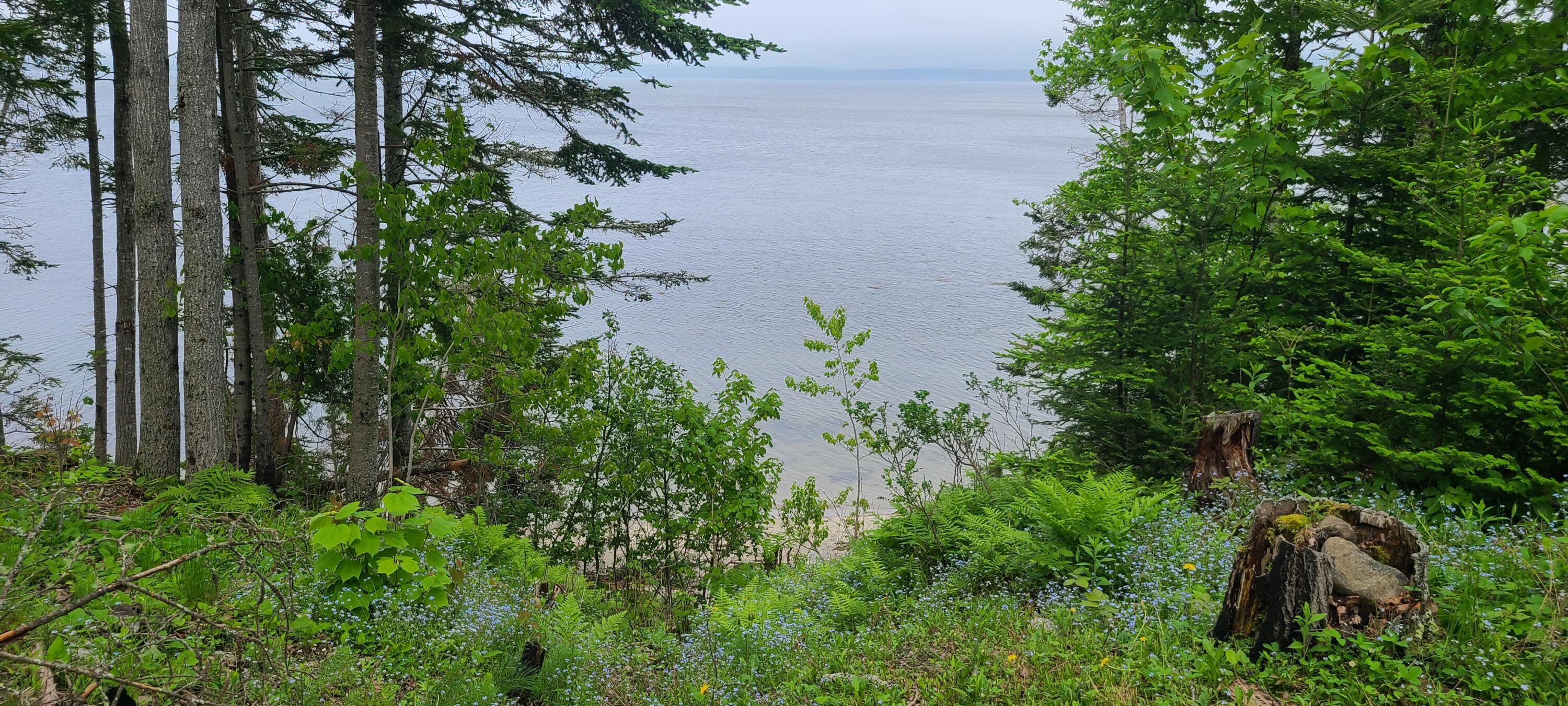 1035 Cape Jellison Road