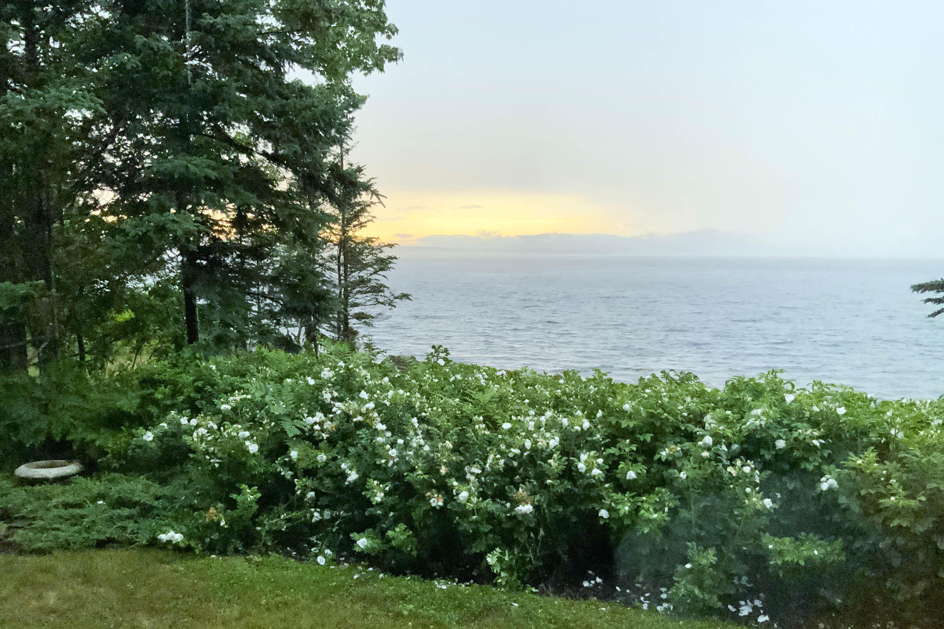 Sea Mist