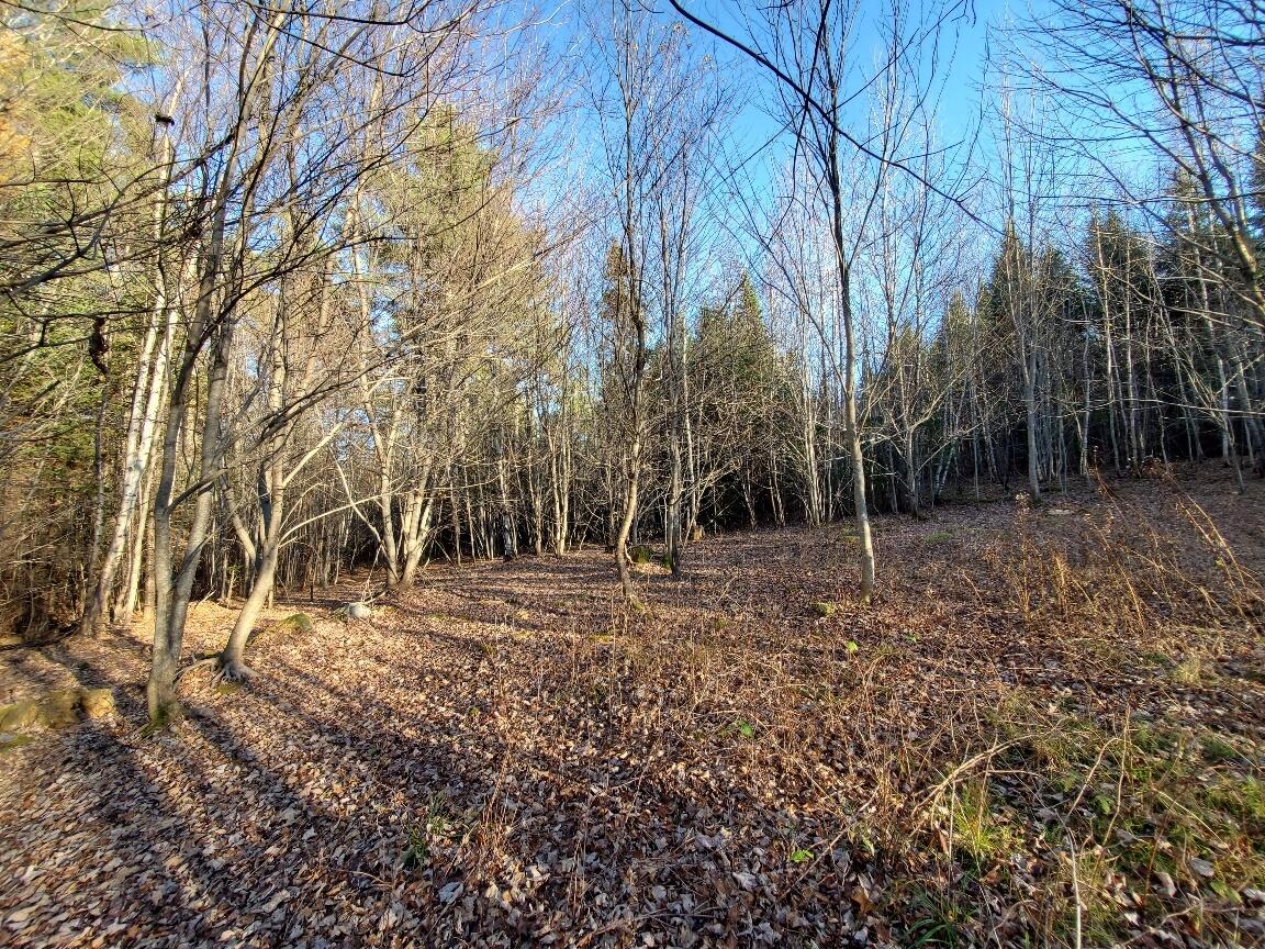 Lot 65-2 Ramsdell Ridge Road