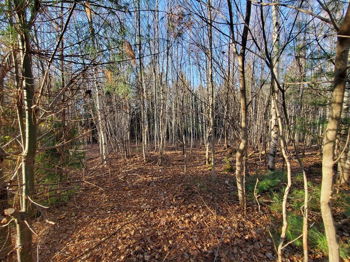 Lot 65-2 Ramsdell Ridge Road