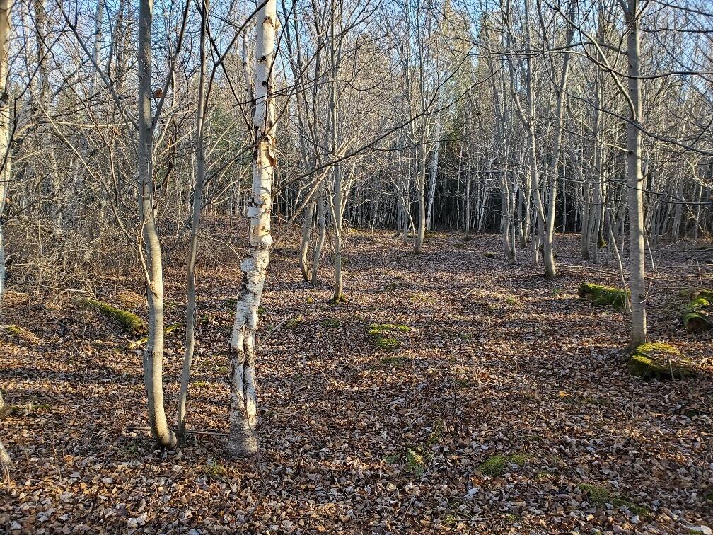 Lot 65-2 Ramsdell Ridge Road