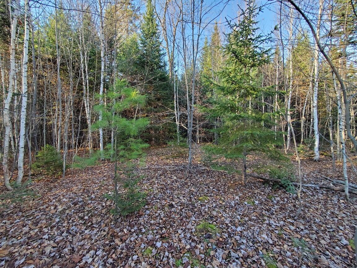 Lot 65-2 Ramsdell Ridge Road