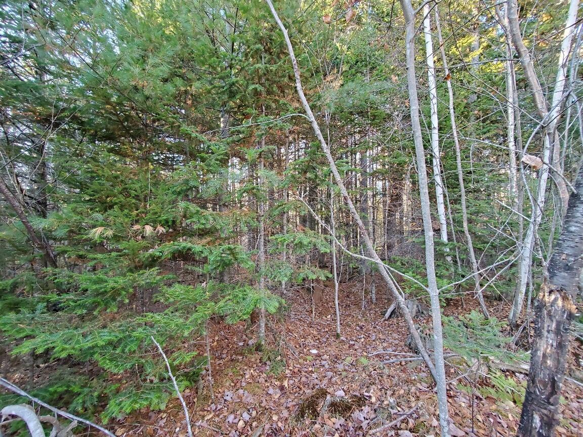 Lot 65-2 Ramsdell Ridge Road