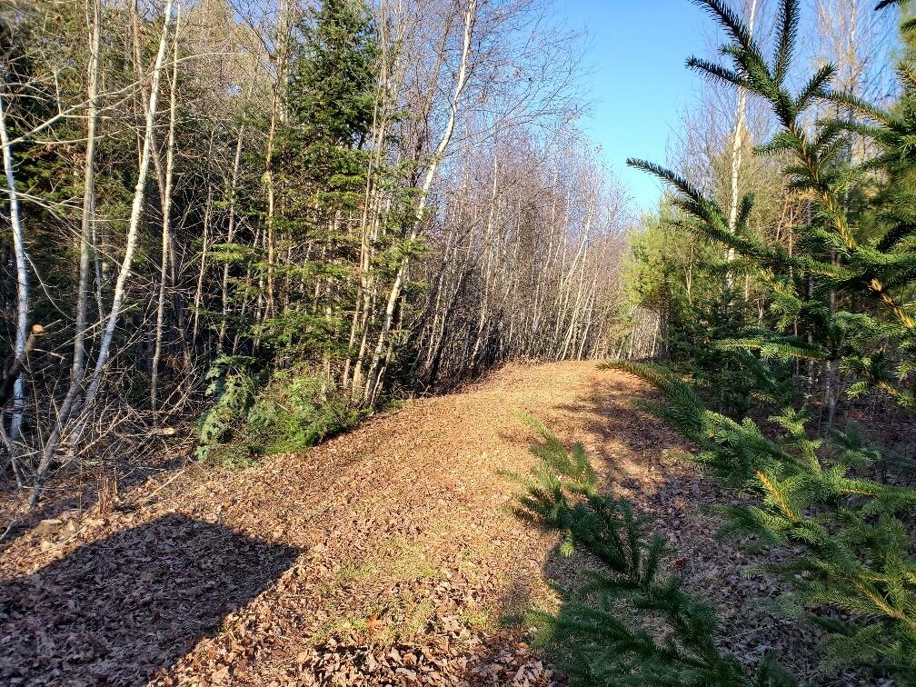 Lot 65-2 Ramsdell Ridge Road