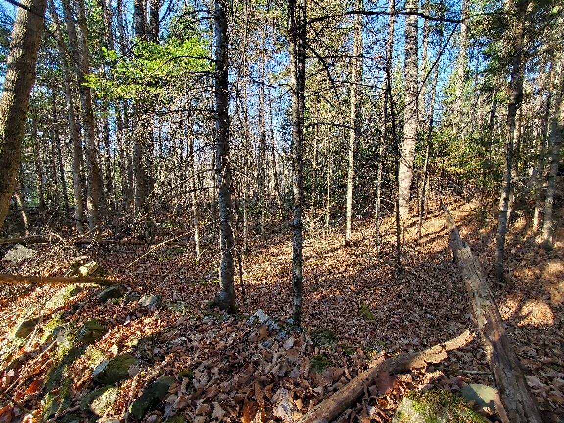 Lot 65-2 Ramsdell Ridge Road