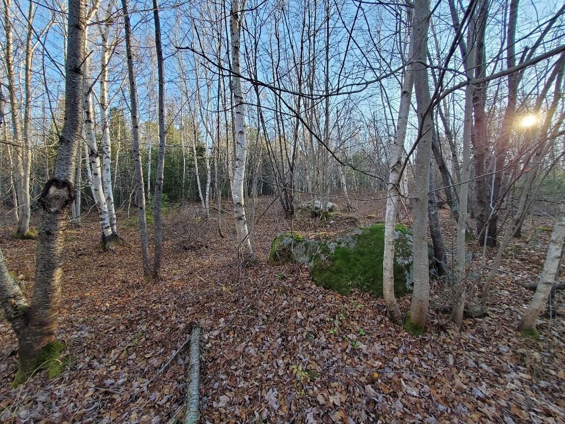 Lot 65-2 Ramsdell Ridge Road